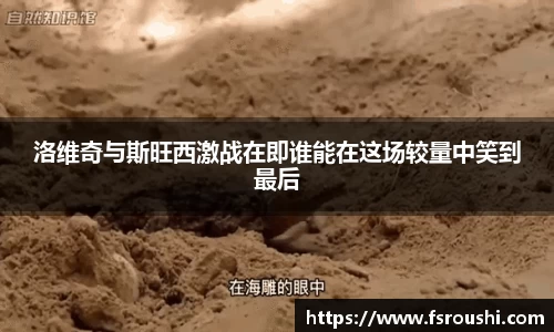 洛维奇与斯旺西激战在即谁能在这场较量中笑到最后